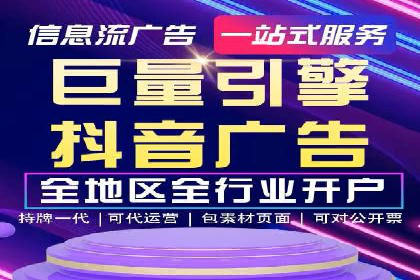 SEM代运营案例分析：精准投放策略解析